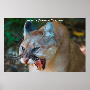 Poster Avoir un Noël parfait