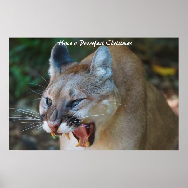 Poster Avoir un Noël parfait (Devant)