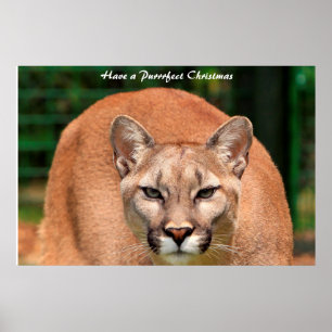 Poster Avoir un Noël parfait