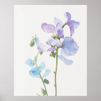 Poster Avril Pois doux Fleur de naissance