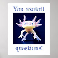 Axolotl Salamander Amphibian