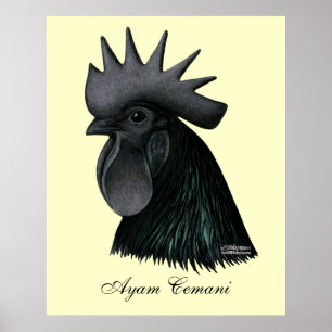 Poster Ayam Cemani Rooster Head