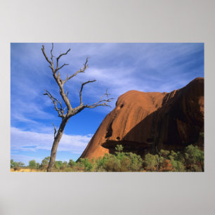 Poster Ayers Rock Uluru dans l'Outback en Australie