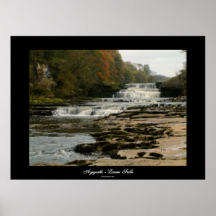 Poster Aysgarth - Lower Falls  