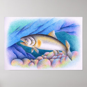 Poster Ayu nageant dans un ruisseau clair.