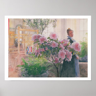 Poster Azalea, 1906 (la semaine sur le papier)