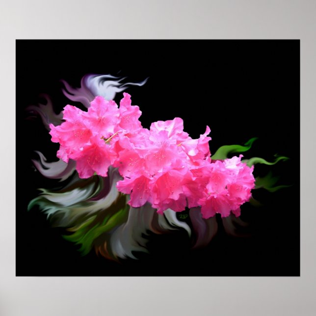 Poster Azaleas (Devant)