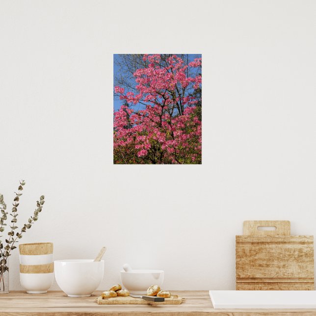 Poster Azalées roses jolies Floral (Cuisine)