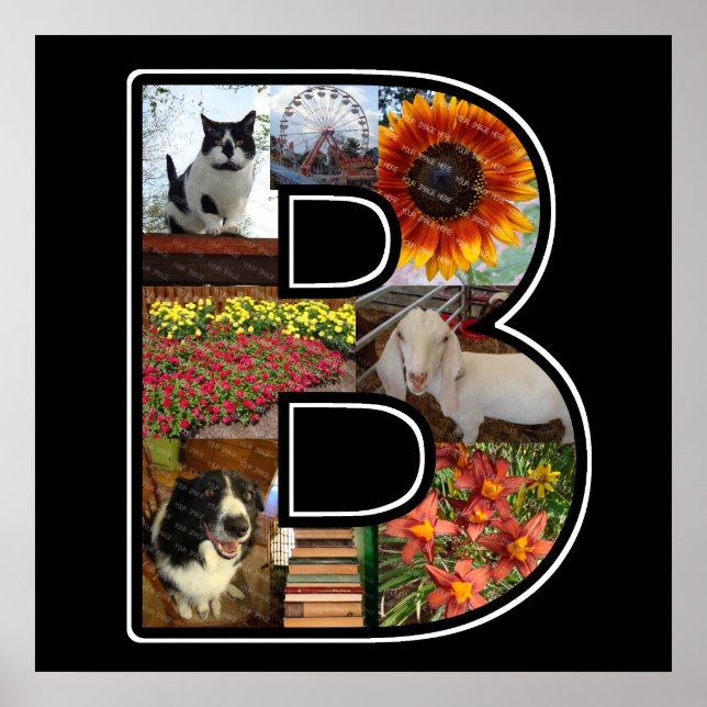Poster B Monogramme Créez votre propre collection de phot (Devant)