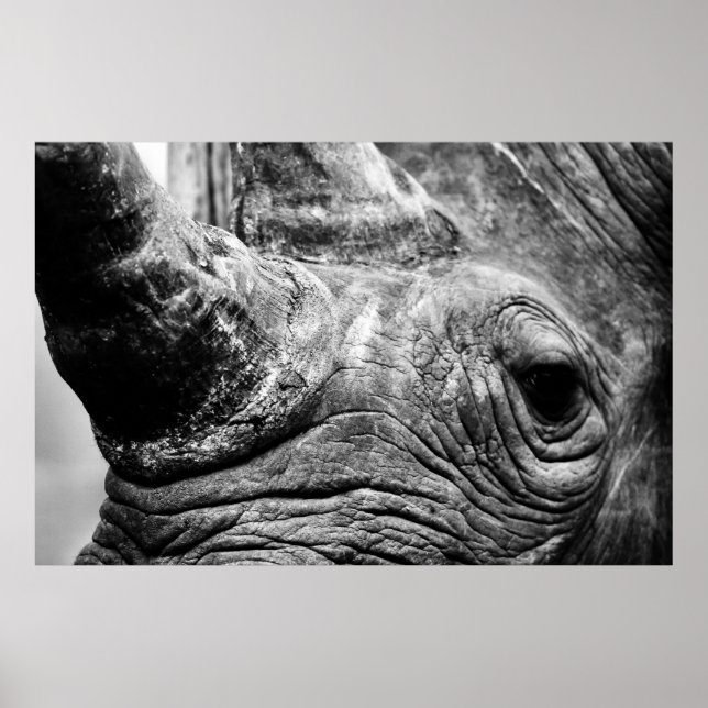 Poster B&W Rhino (Devant)