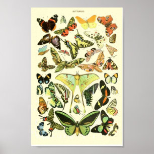 Poster Babfly vintage