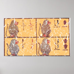 Poster babouins