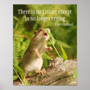 Poster Baby Chipmunk Essayez le devis