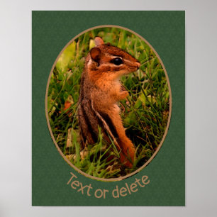 Poster Baby Chipmunk Faune Animal Art Personnalisé