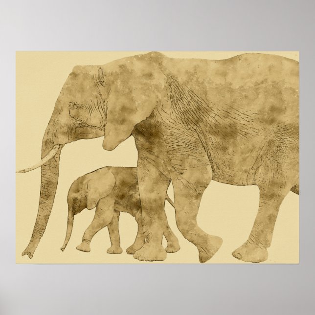 Poster Baby Elephant avec c'est Mère (Devant)
