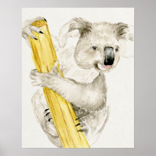 Poster Baby Koala   Cute & Furry