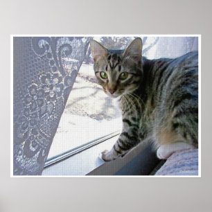 Poster Baby Max