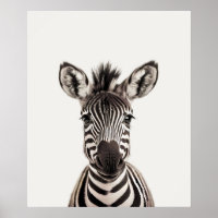 Baby Safari Africain Jungle Animaux Zebra