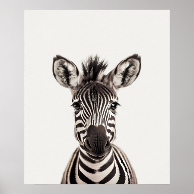 Poster Baby Safari Africain Jungle Animaux Zebra (Devant)