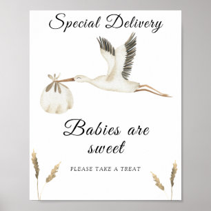 Poster Baby-shower cigogne - les bébés sont mignons