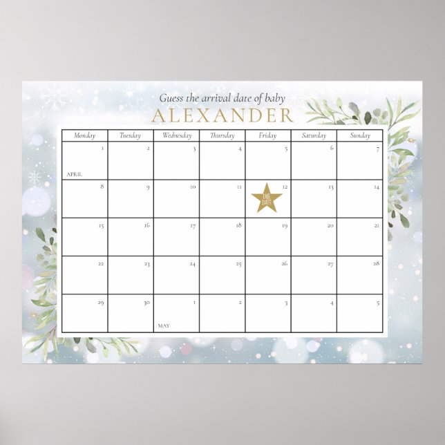 Poster Baby shower De Foliage D'Hiver Devinez La Date D'É (Devant)