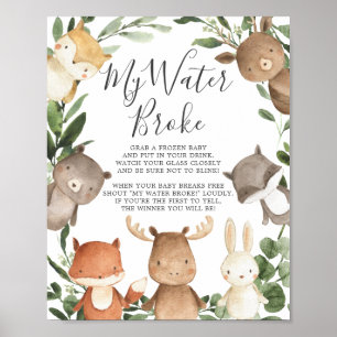 Poster Baby shower des animaux de bois Mon eau Broke Sign