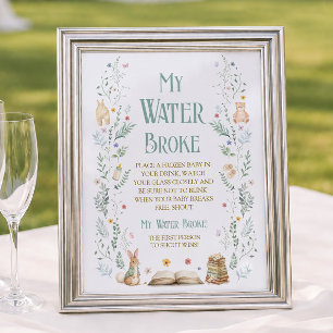 Poster Baby Shower Nouveau Chapitre Jeu Ma Source Est Cas