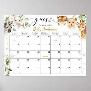 Poster Baby shower Safari Devis Date d'échéance Calendrie