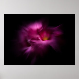 Poster Backyard Flowers No 2 Color Flow Version