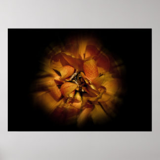 Poster Backyard Flowers No 80 Color Flow Version