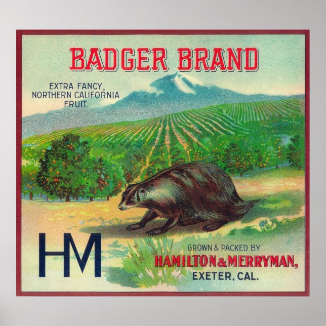 Poster Badger Orange LabelExeter, CA (Devant)