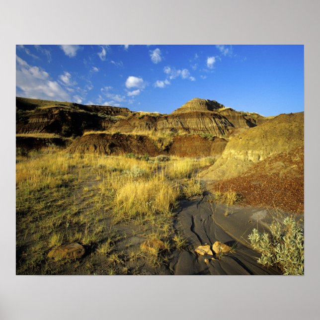 Poster Badlands dans le parc provincial Dinosaur en Alber (Devant)