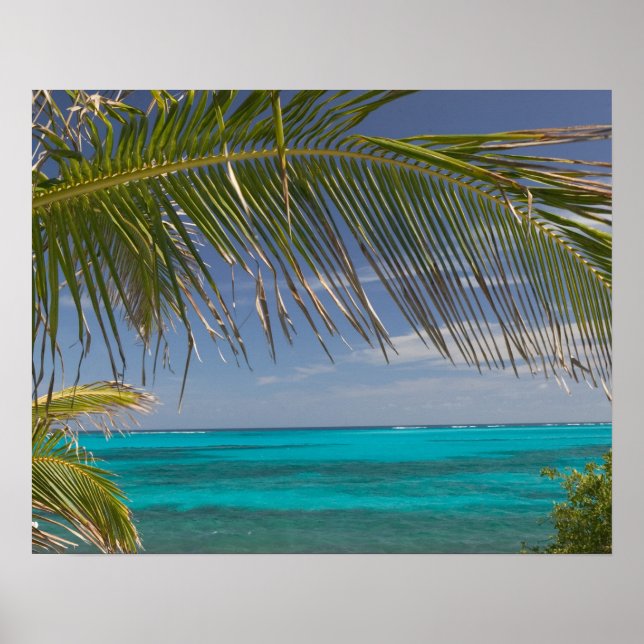 Poster BAHAMAS, Abacos, Loyalist Cays, Man O'War Cay : (Devant)