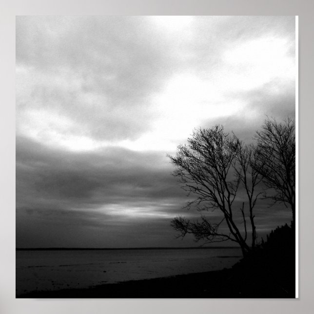 Poster Baie De Fundy (Devant)