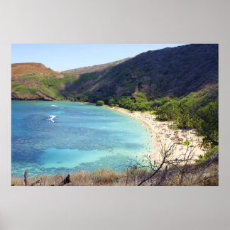 Poster Baie de Hanauma