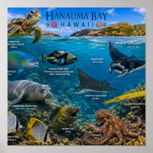 Poster Baie de Hanauma Hawaii