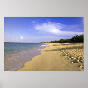 Poster Baie Longue Long Bay Beach, St. Martin,