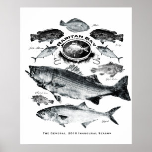 Poster baie raritan
