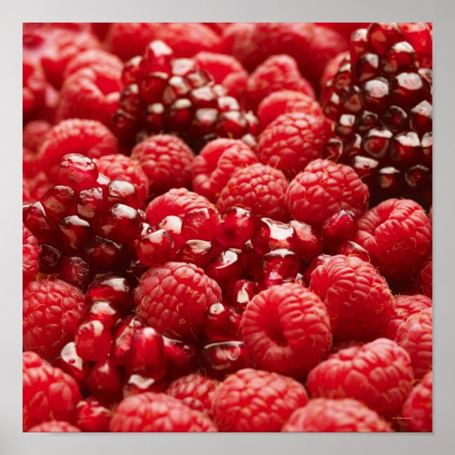 Poster Baies rouges saines et nutritives (Devant)