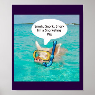 Poster Baignade Cochon est snorkeling dans l'étang