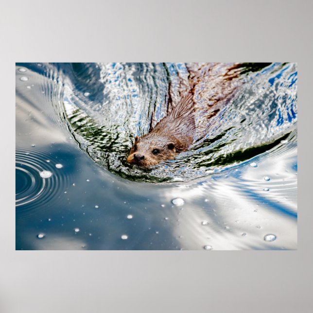POSTER BAIGNADE DE SCEAU CUT (Devant)