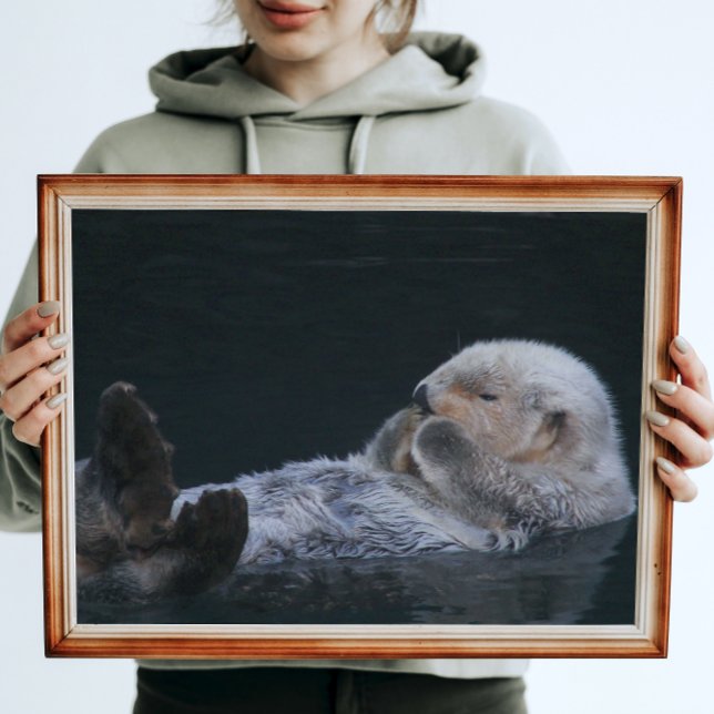Poster Baignade mignonne Otter de mer Glossy Photographie (In Situ)