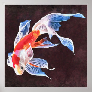 Poster Baignade Poisson d'or Art réaliste