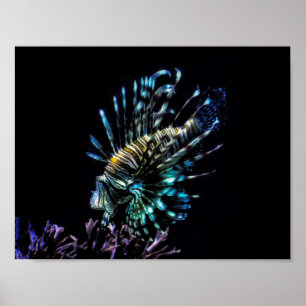 Poster Baignades de poissons-lions