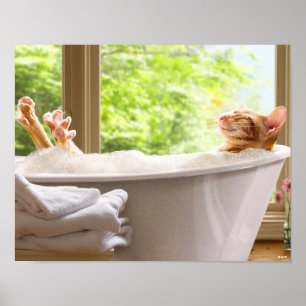 Poster Bain De Chat En Bulle