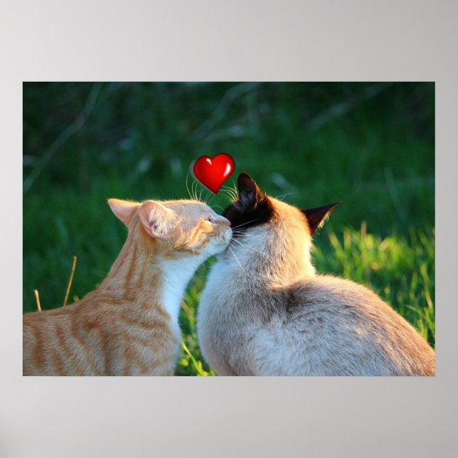 Poster baiser (Devant)