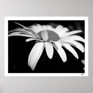 Poster Baisy noir et blanc