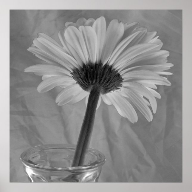Poster Baisy noir et blanc (Devant)