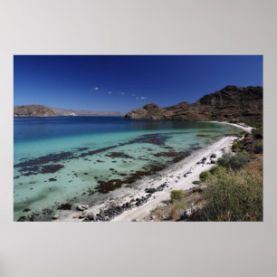 Poster Baja Conception Bay