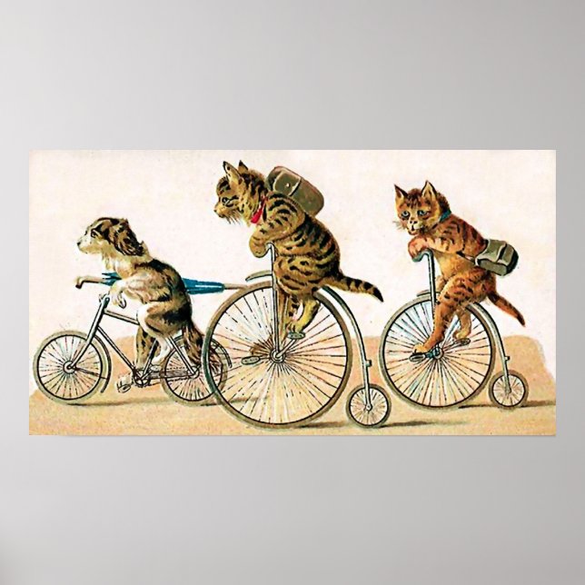 Poster Balade à vélo (Devant)